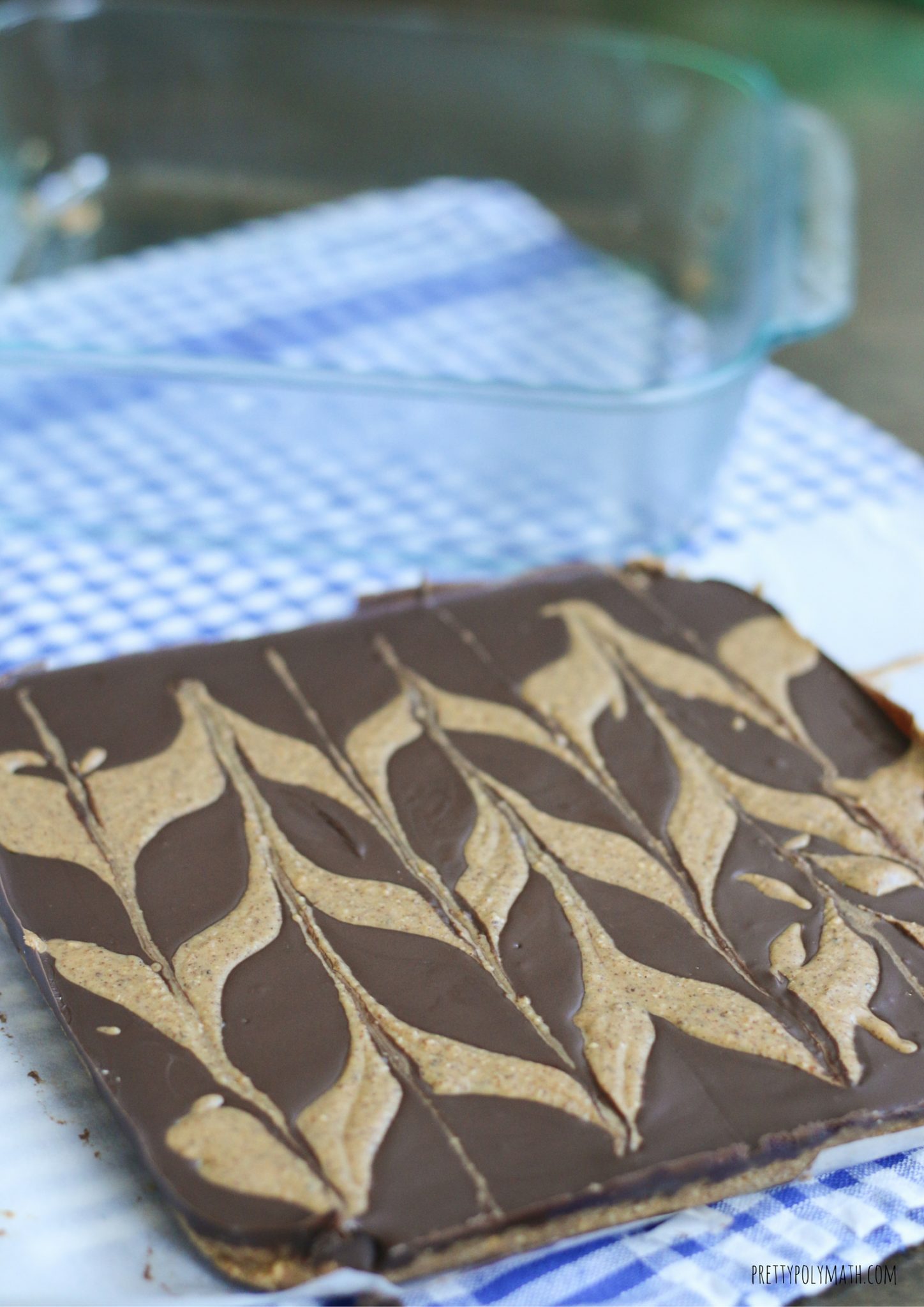 Nut Butter and Chocolate Bars | Pretty Polymath